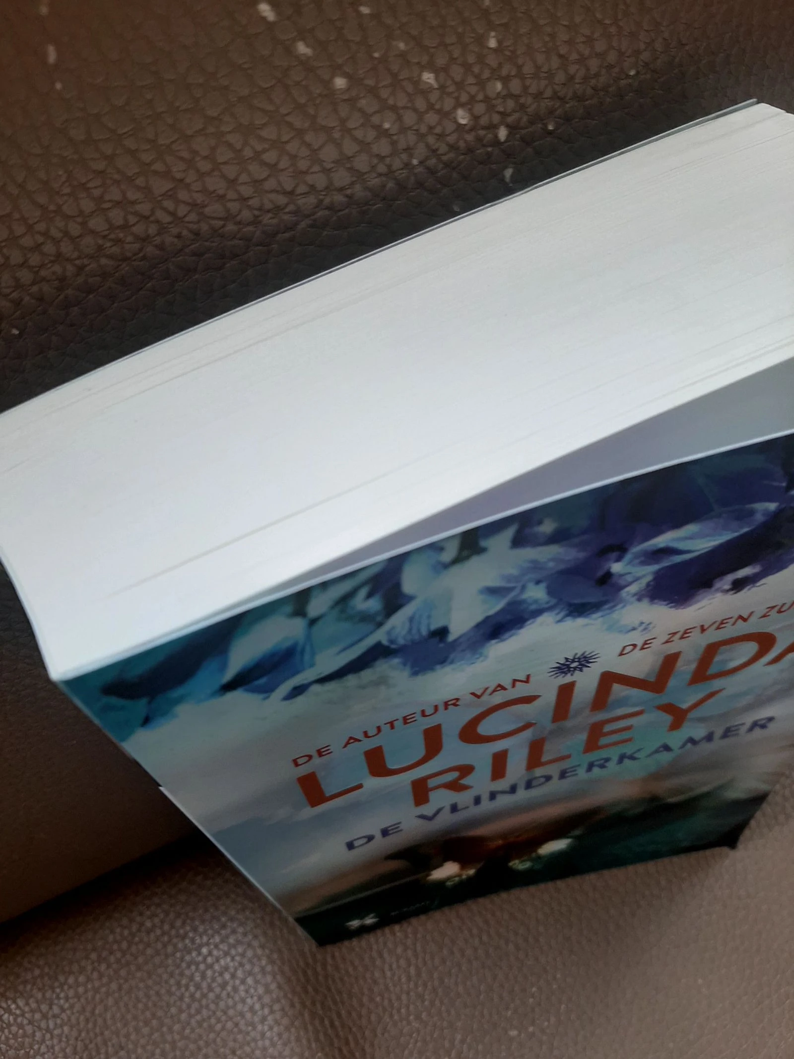 Lucinda Riley - A Casa das Borboletas – photo 2